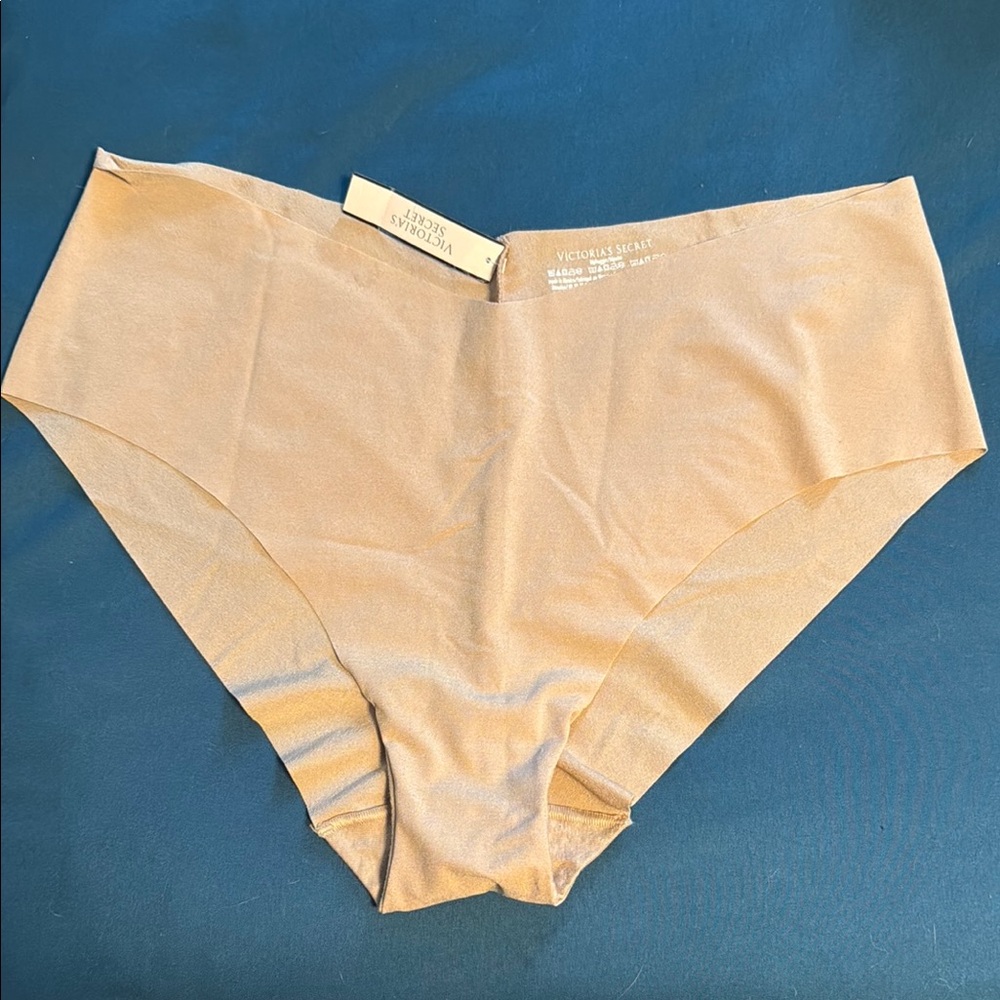 Victoria's Secret Nude Seamless Briefs